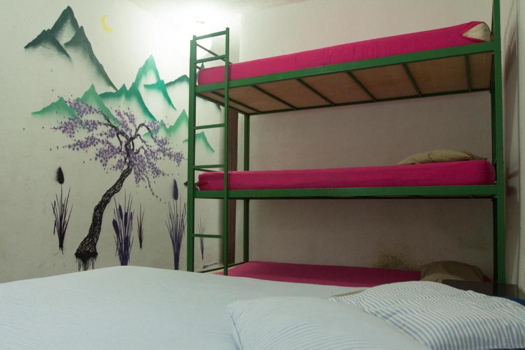 El Misti Hostel Ilha Grande Ilha Grande  Bagian luar foto